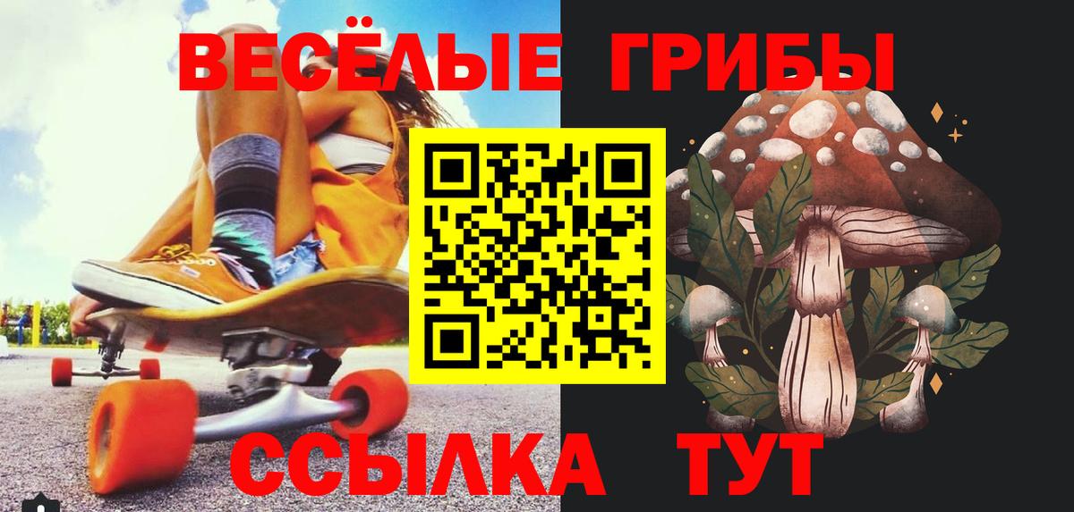 Псилоцибиновые грибы мицелий  Вход с VPN  Псилоцибиновые грибы Psilocybe  купить   Избербаш 
